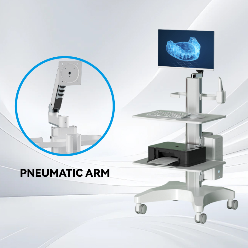 Pneumatic Arm Pneumatic Arm