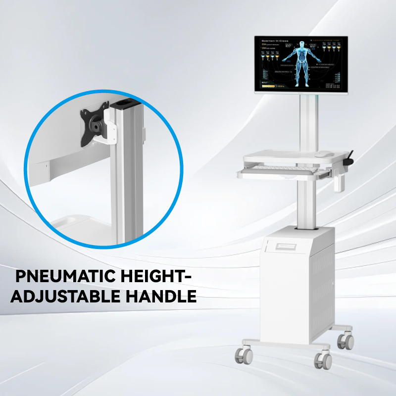 Pneumatic Height-adjustable Arm Pneumatic Height-adjustable Arm